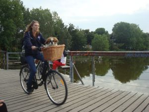 OK, this isn't a cargo bike, it's just a cute Danish doggie on the move. (Click to expand)