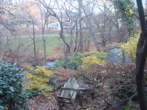 View from yard of Mill Hill home. (click to expand)